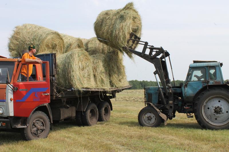 Новости сельского хозяйства