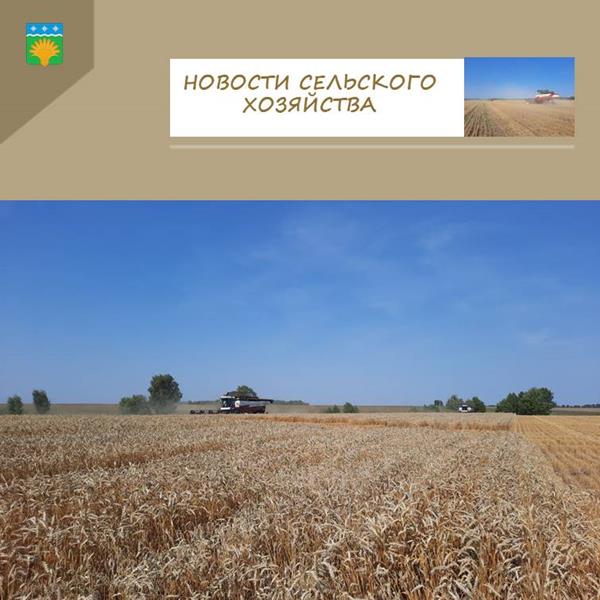 Уборочная страда набирает обороты
